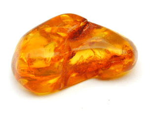 amber bead